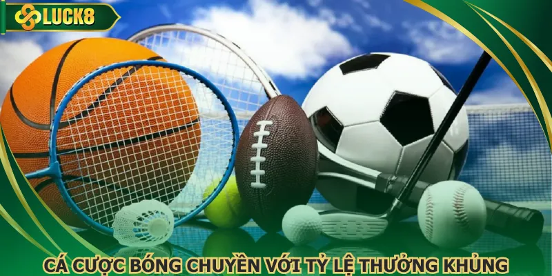 Cá cược bóng chuyền với tỷ lệ thưởng khủng