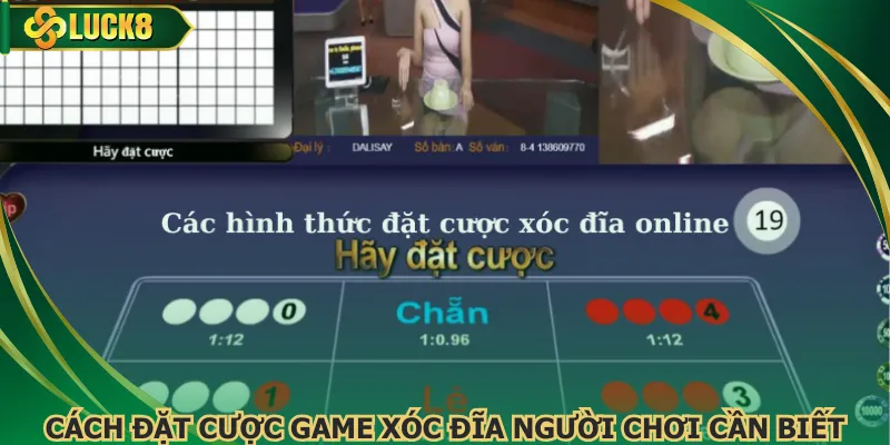 Cách đặt cược game xóc đĩa người chơi cần biết