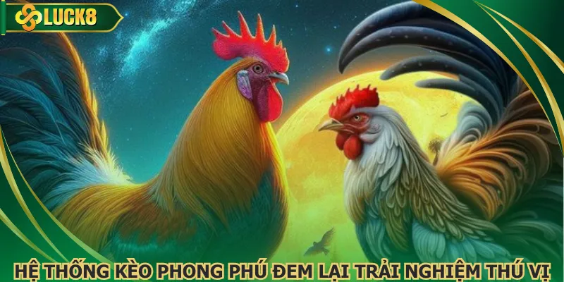 Hệ thống kèo phong phú đem lại trải nghiệm thú vị