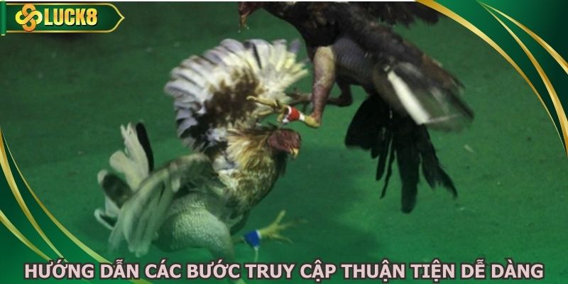 Hướng dẫn các bước truy cập thuận tiện dễ dàng