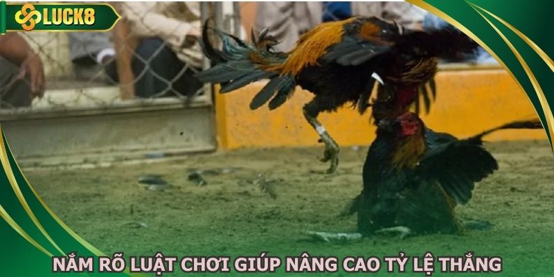 Nắm rõ luật chơi giúp nâng cao tỷ lệ thắng