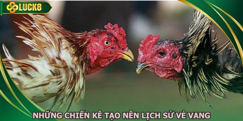 Những chiến kê tạo nên lịch sử vẻ vang