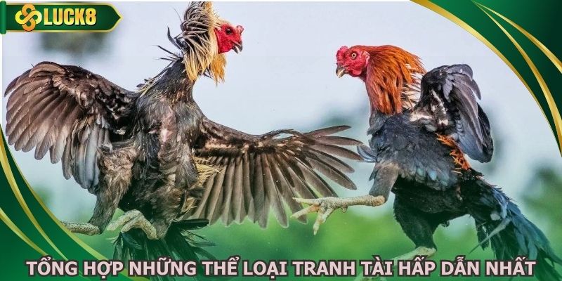 Tổng hợp những thể loại tranh tài hấp dẫn nhất